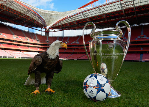 油脂成套设备,40吨玉米加工设备