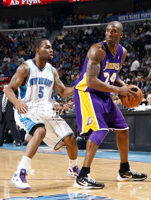 50吨植物油精炼设备