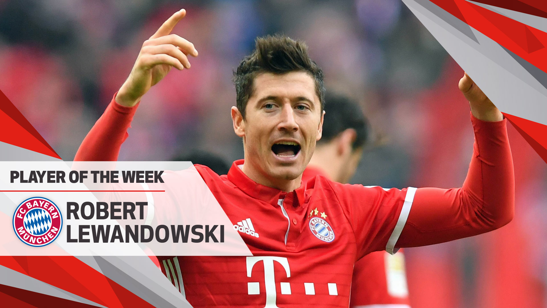 轧胚机 预处理设备